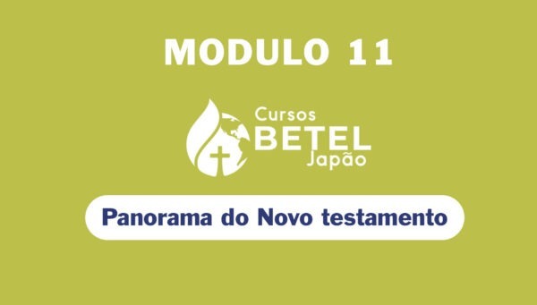 11 - Panorama do Novo Testamento